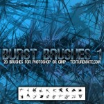 BurstBrushes01
