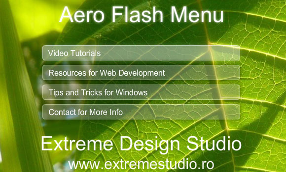 Glass Aero Flash Menu