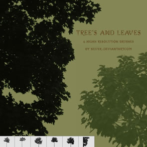 Tree's & Leaves