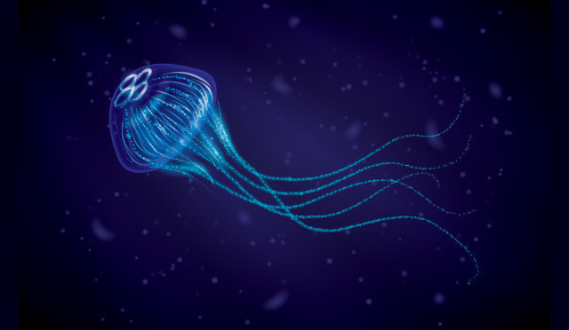 Jellyfish with Brushes