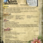 adam-stephenson-resume