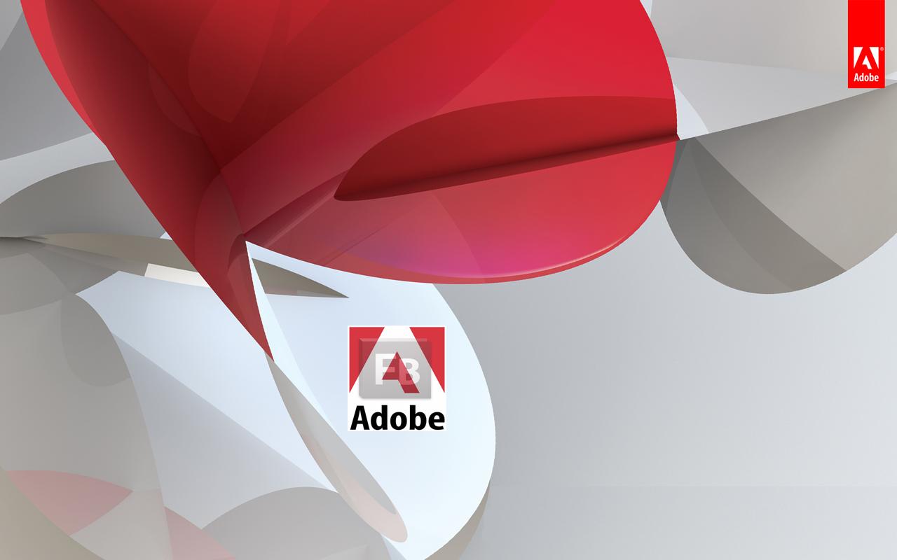 adobe-flash-builder 4.5