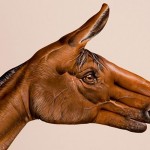 horse-hand-painting