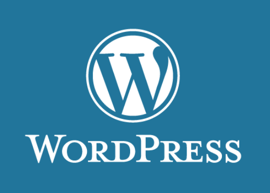 Professional-Wordpress-Themes