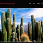 Simple Style Photography Theme