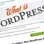 Demystifying Responsive WordPress Themes