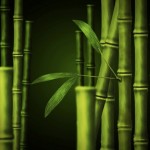 Bamboo in Adobe Photoshop