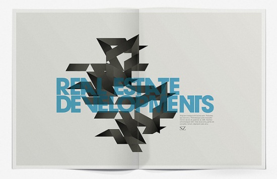 SZ Developments Brochure
