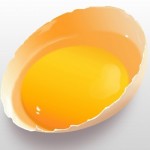 Photo-Realistic Broken Egg from Scratch