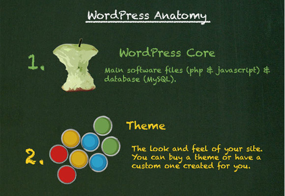 WordPress Anatomy