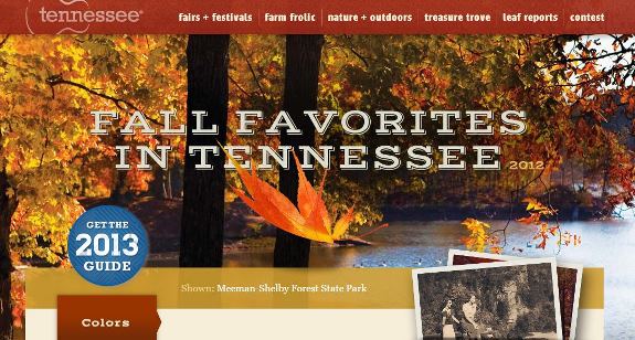 Tennessee website design